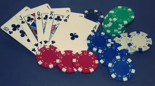 boss domino